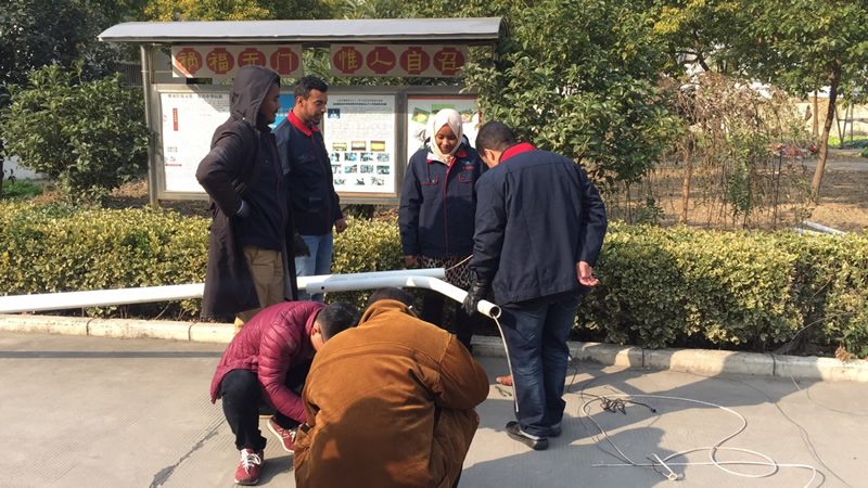 15598081466655.jpg 203.jpg