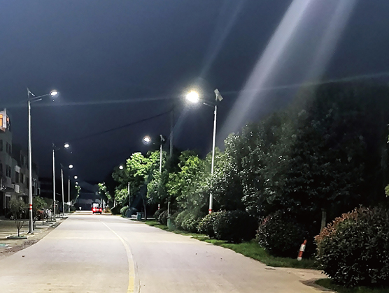 天长市大通镇项目