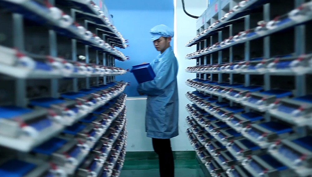 15666138909455.jpg 2.jpg