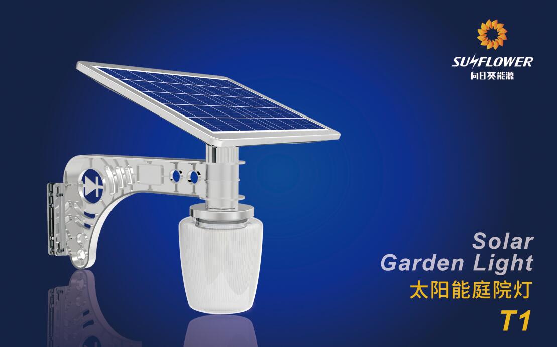 15788992857718.jpg T1.jpg