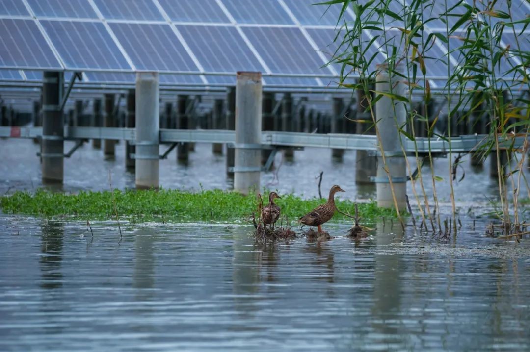 16708135564617.jpg 9.jpg