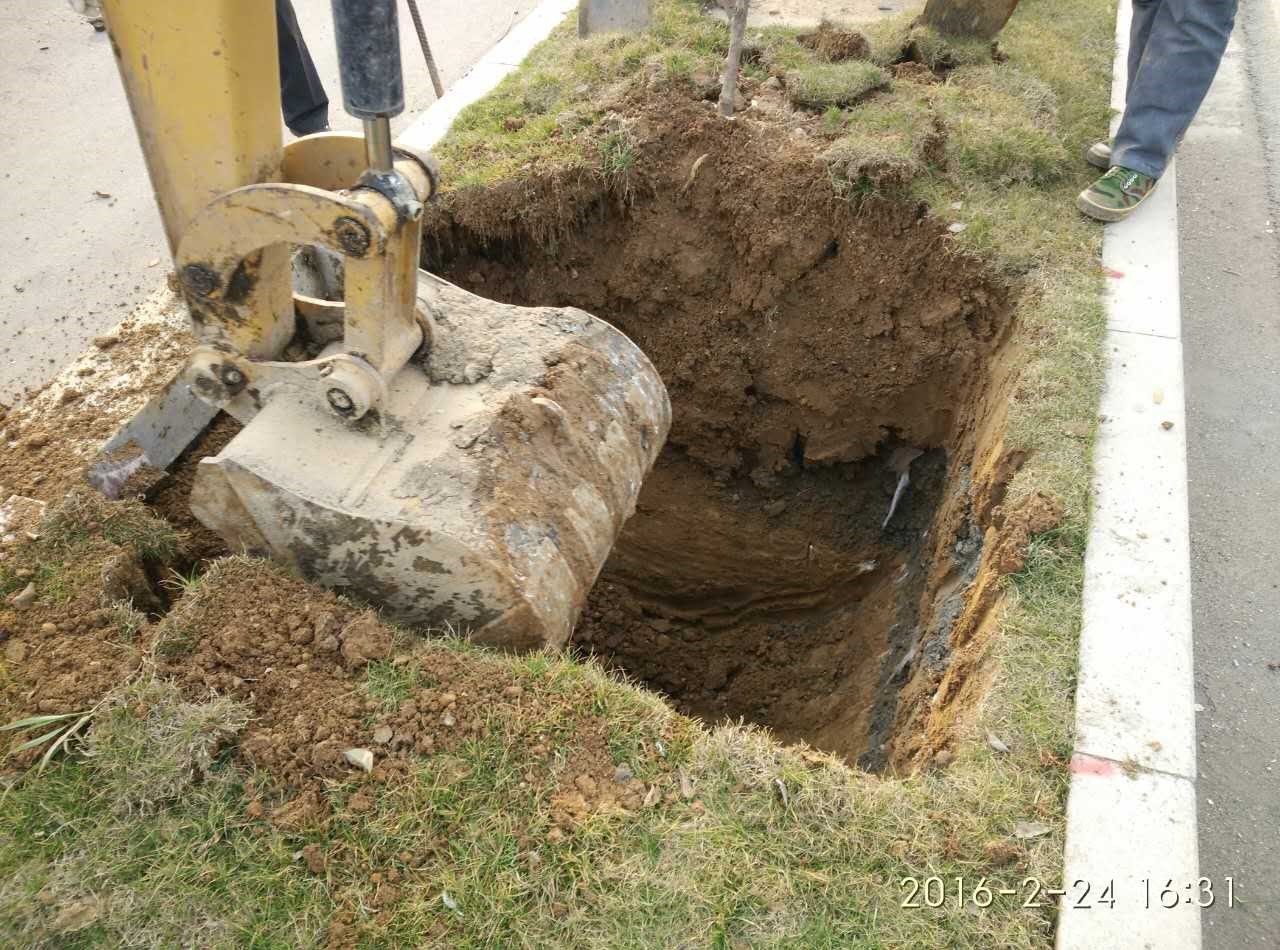 16800683079034.jpg 3.jpg