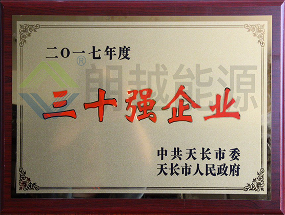 三十强企业