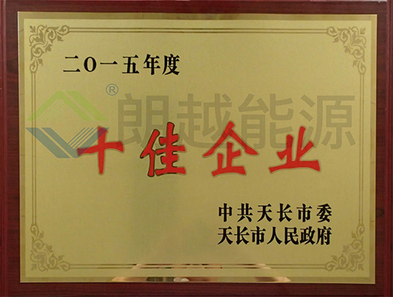 十佳企业