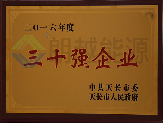 三十强企业